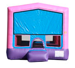 JA-BOU-0-Pink and Purple Module 13 JA-BOU-0-Pink and Purple Module 13