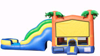 JA-COM-501-Palms 5-1 WET JA-COM-501-Palms 5-1 WET